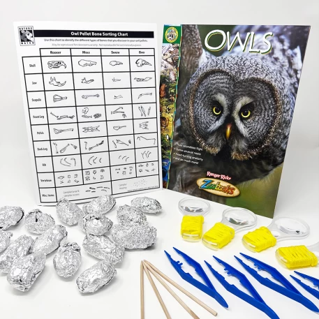 Hands-On Science: Owl Pellet Dissection - Nature Watch Blog