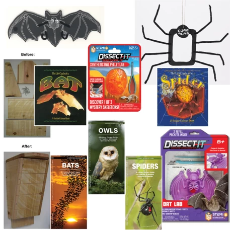 Owls, Bats and Spiders Bundle