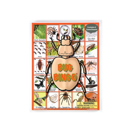 Bug Bingo Game