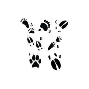 Animal Tracks Stamps, Creative Animal Footprint Stamps Playdough Stampers,  9 Pcs Wood Paw Print Stamp Rubber Stamps for Kids (Farm Animals)