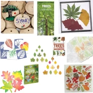 Trees and Leaves Bundle